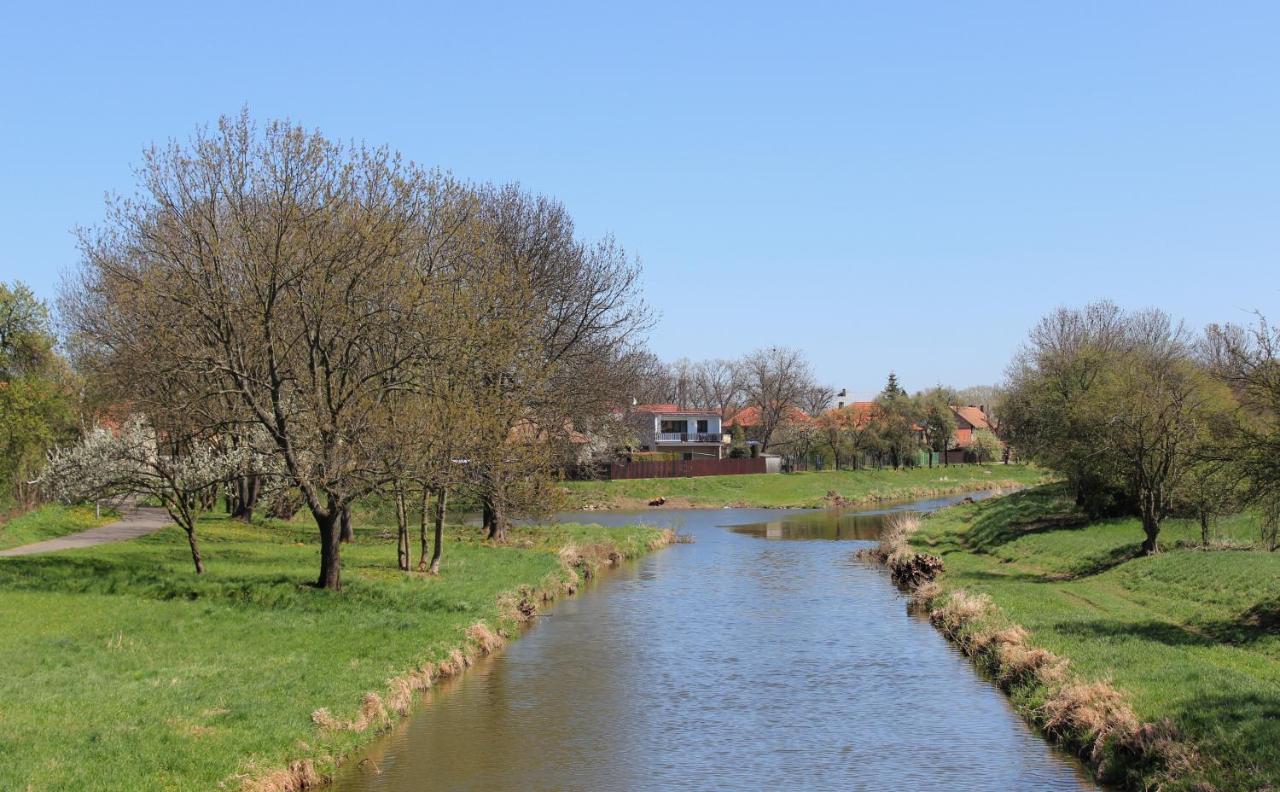 Ubytování v soukromí Opolany u Poděbrad Exterior foto